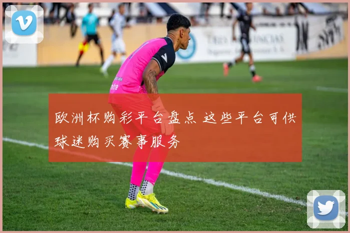欧洲杯购彩平台盘点 这些平台可供球迷购买赛事服务