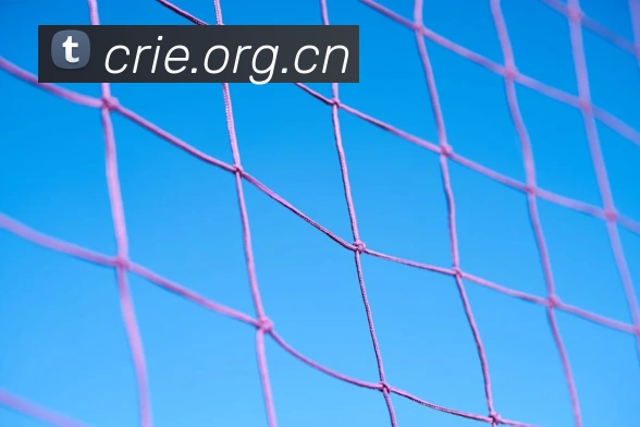 扫码下载 App